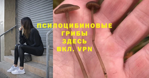 винт Армянск